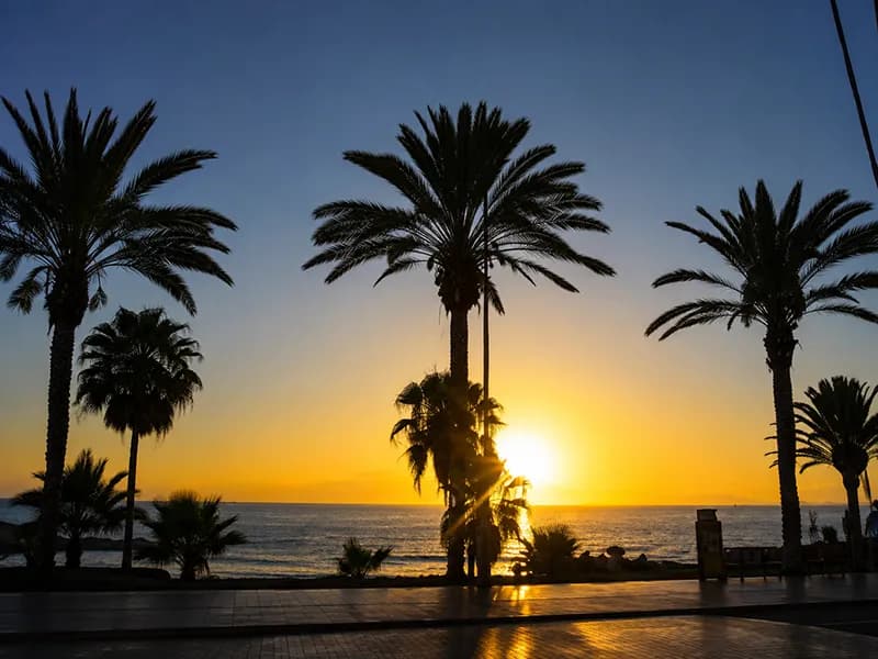 Playa de las Américas coastline and beaches, Tenerife