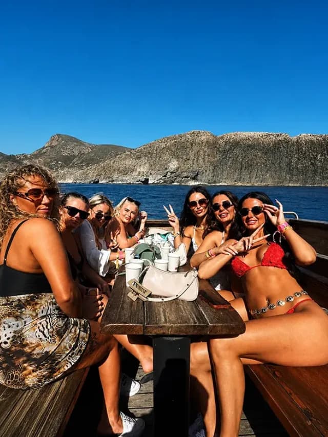 Guests toasting drinks on board