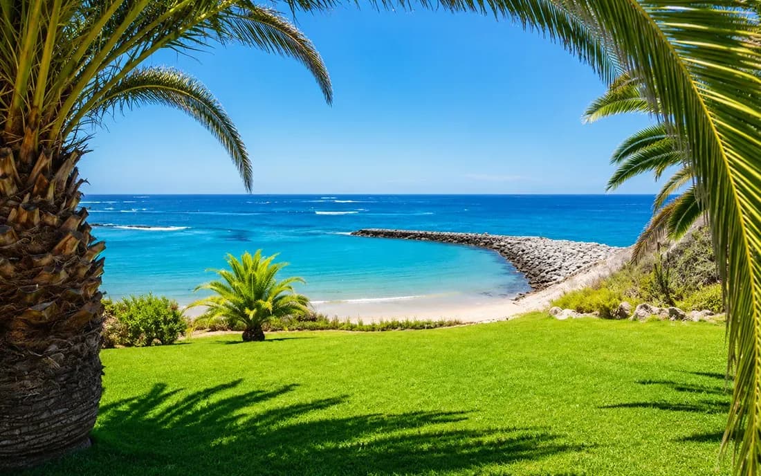 Things to Do in Costa Adeje: 20 Best Activities & Experiences